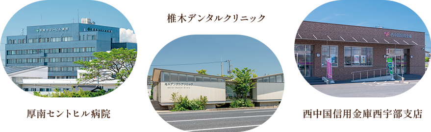 LIFE STAGE