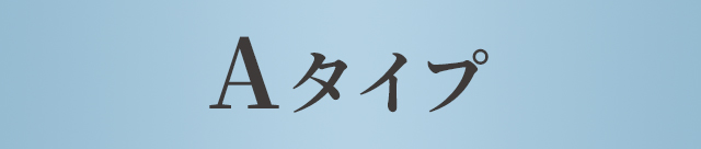 Aタイプ